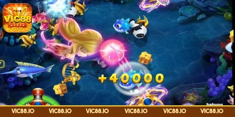 ban-ca-tieu-tien-ca-meo-choi-hieu-qua